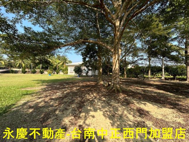 台南南化農地-10