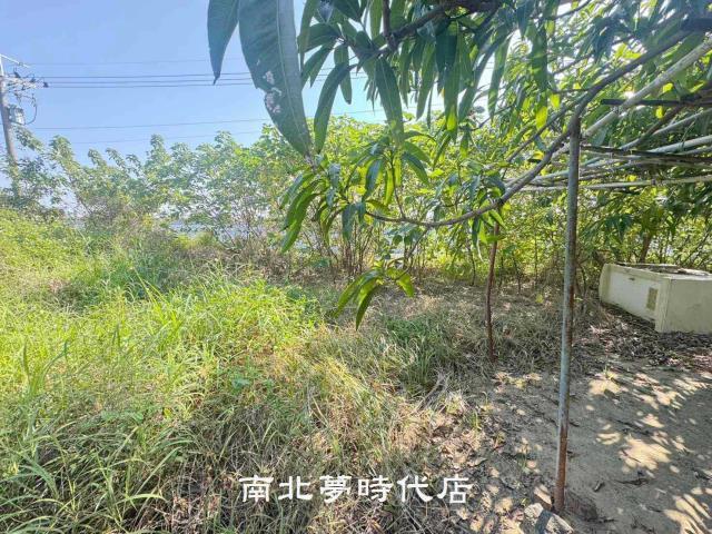台南南區農地-11