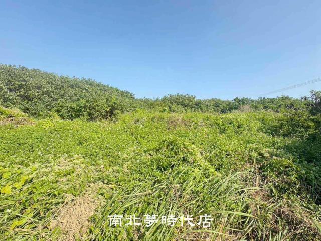 台南南區農地-1