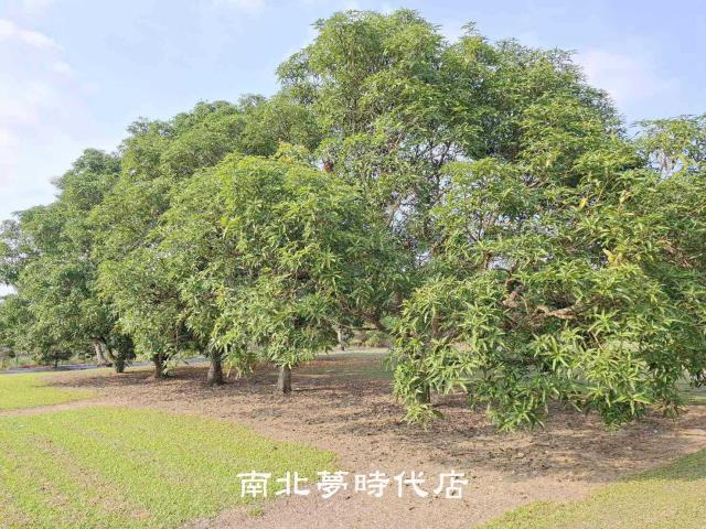 南化農地-3
