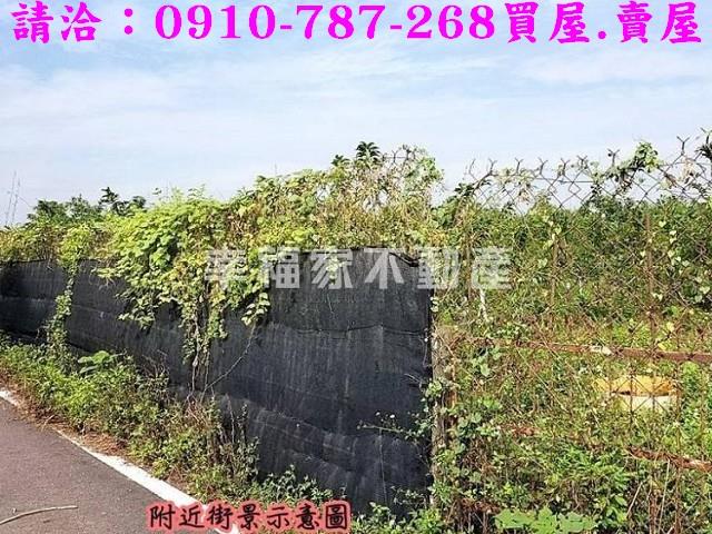 台南歸仁農地-11