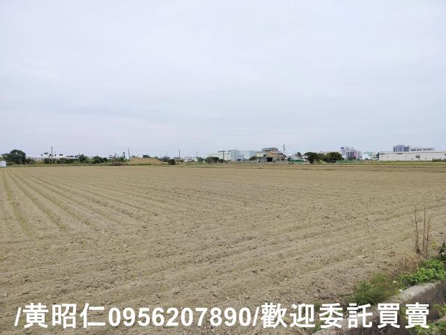 安定農地-4