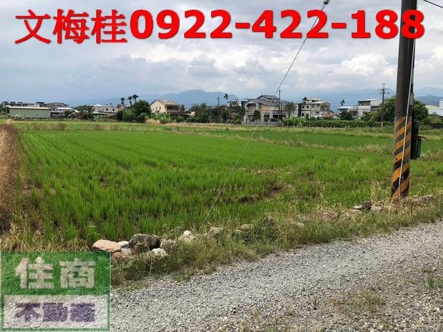 宜蘭宜蘭市農地-5