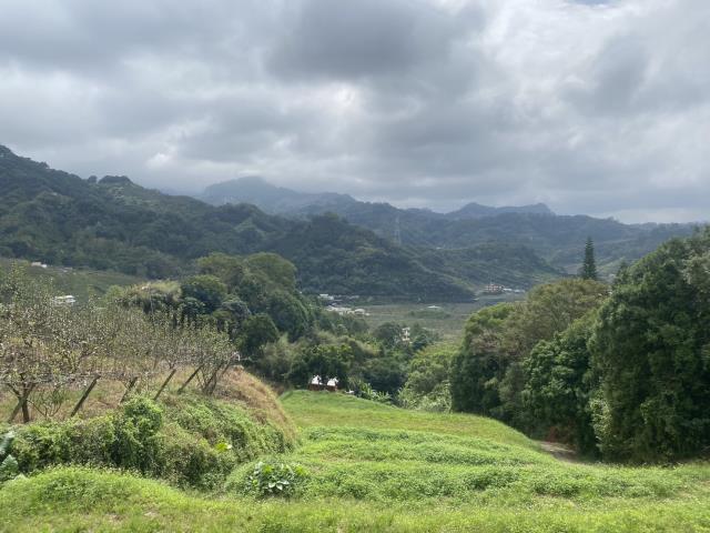 台中東勢農地-2