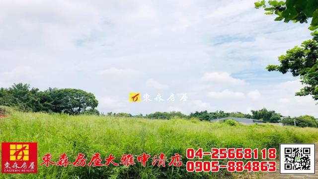 台中農地-3