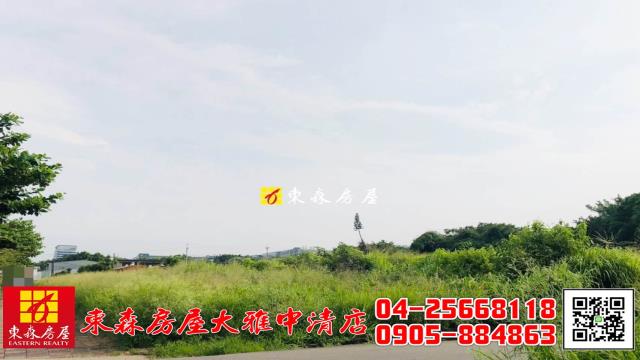 台中農地-5