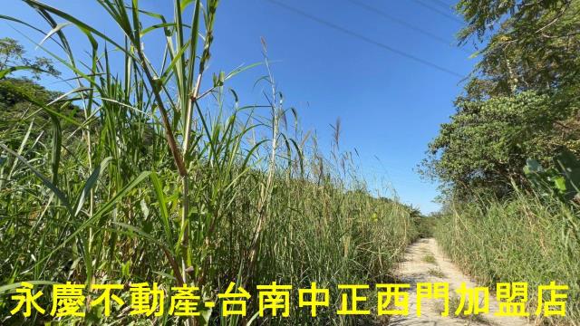 台南白河農地-4