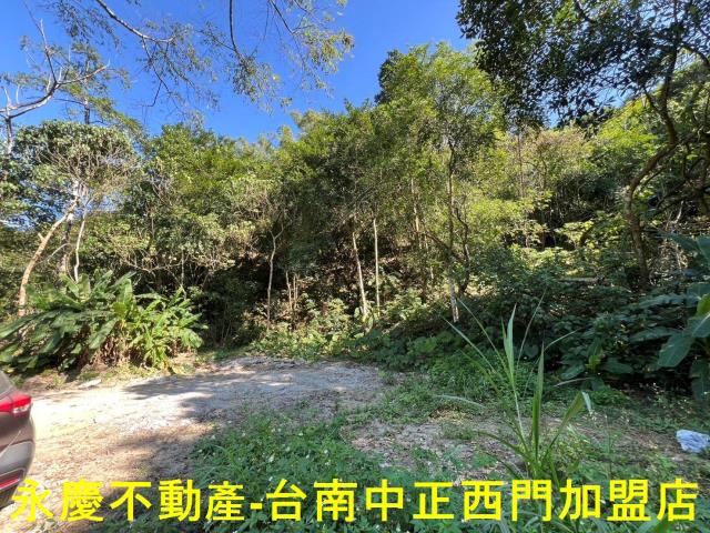 台南白河農地-8