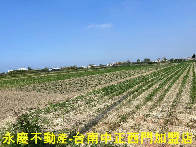 台南將軍農地-3