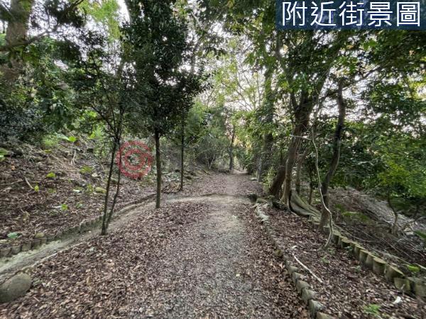 台南楠西農地-12