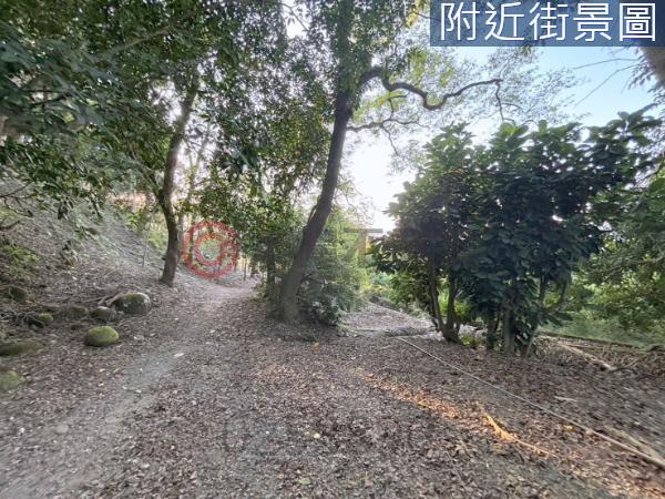 台南楠西農地-15