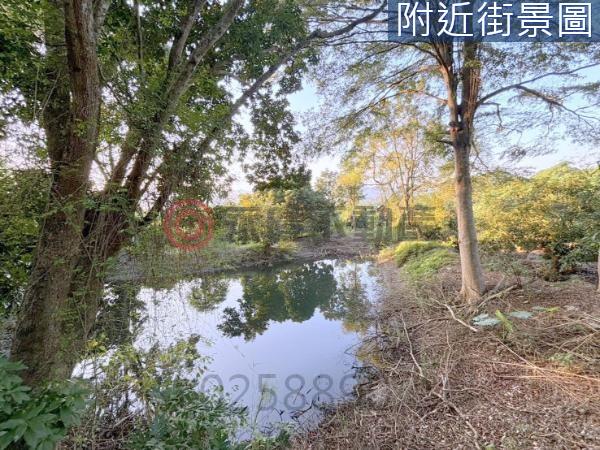 台南楠西農地-1