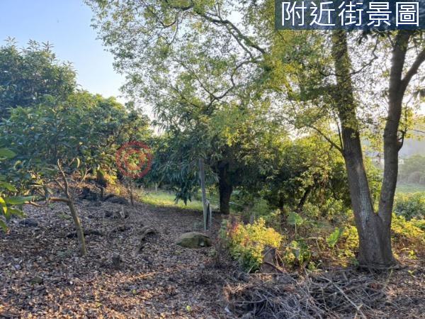 台南楠西農地-2