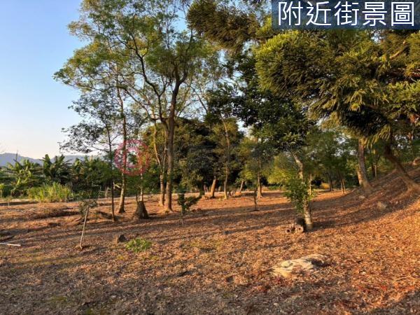 台南楠西農地-7