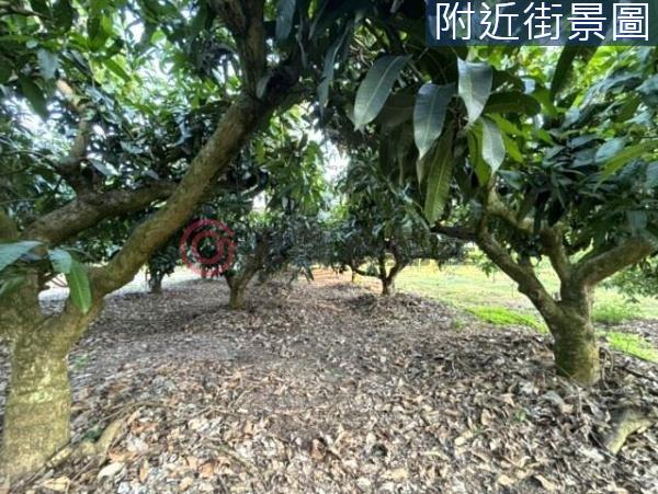 台南楠西農地-11