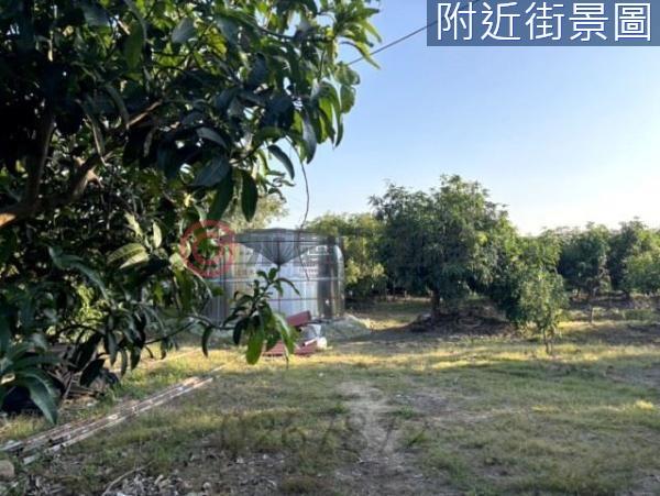 台南楠西農地-15
