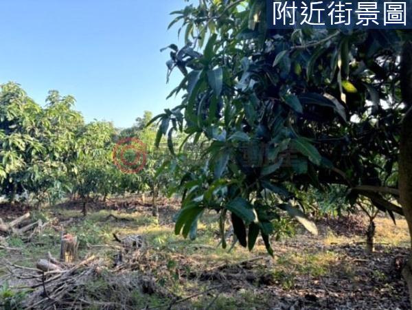 台南楠西農地-4