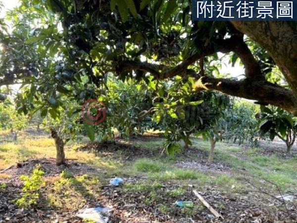 台南楠西農地-6