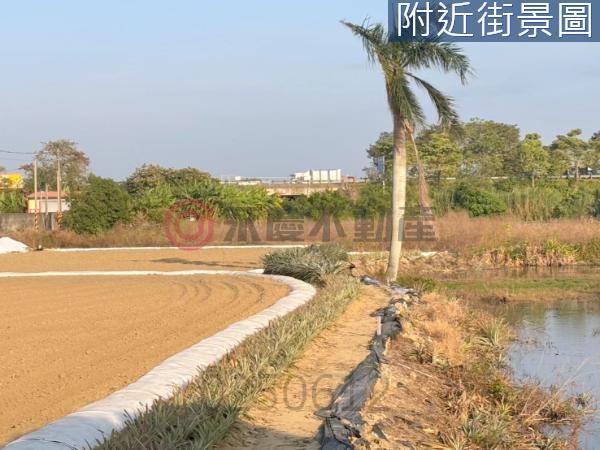 新化農地-4