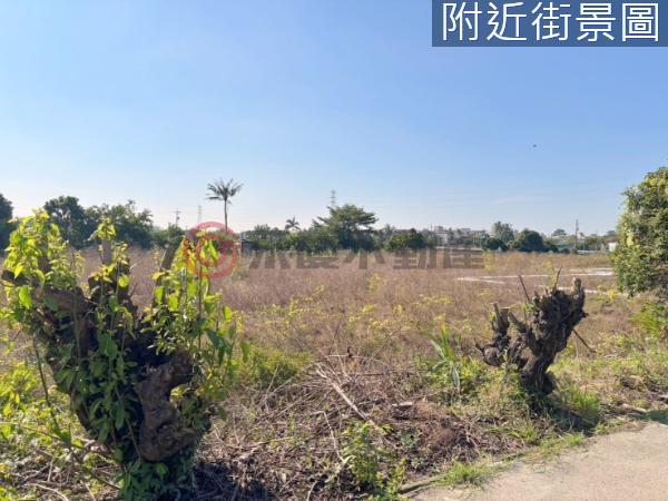 新化農地-5