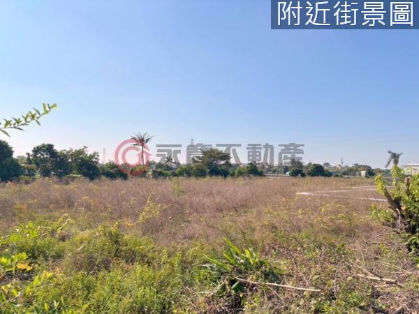 新化農地-6