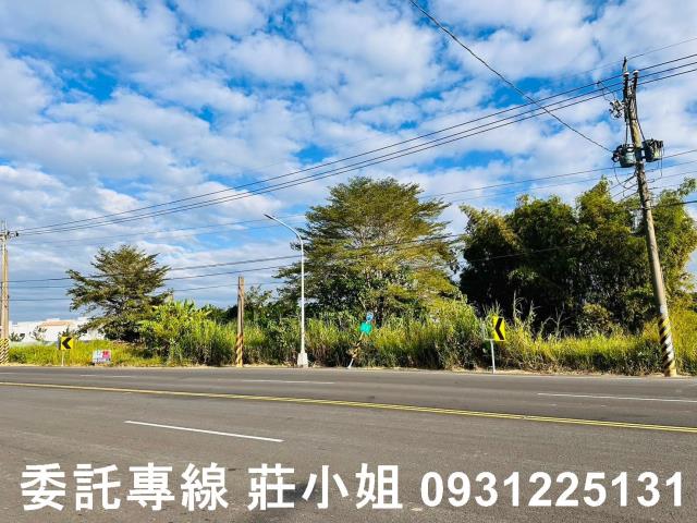 玉井農地-5