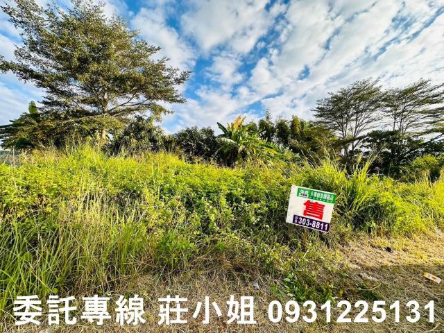 玉井農地-9