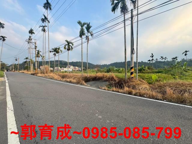 嘉義中埔農地-1
