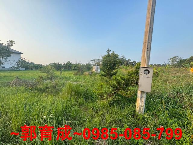 嘉義中埔農地-3