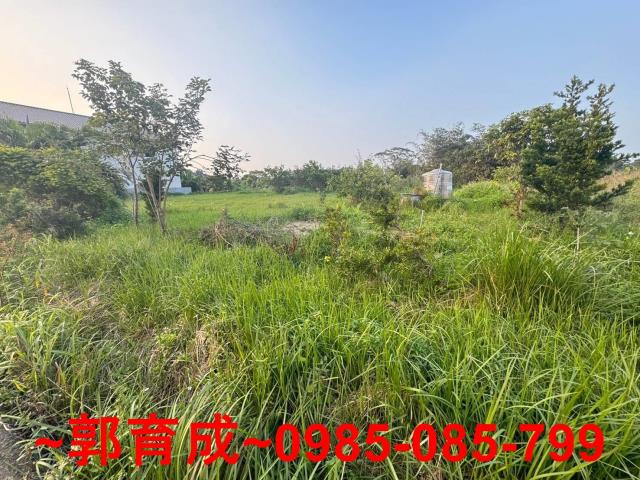嘉義中埔農地-4