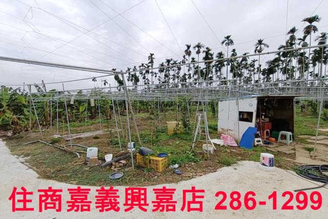 中埔農地-2