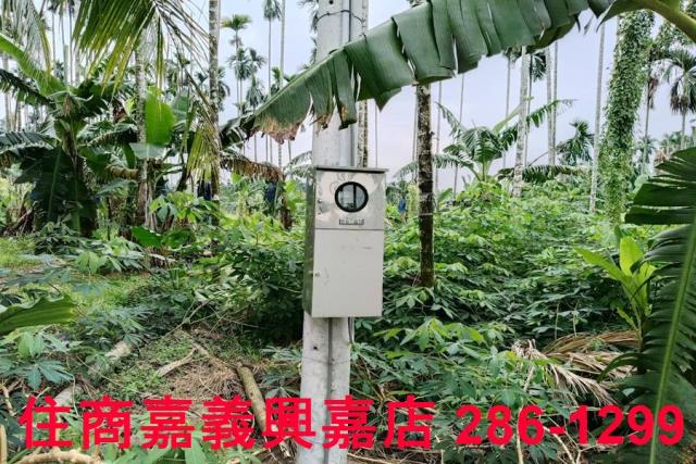中埔農地-4