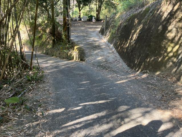 東勢山坡地-4