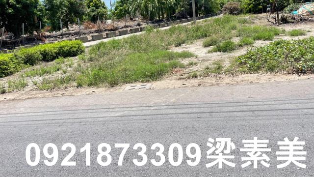 學甲農地-10
