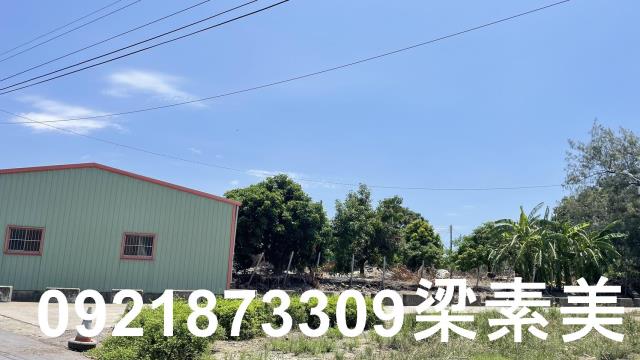學甲農地-9