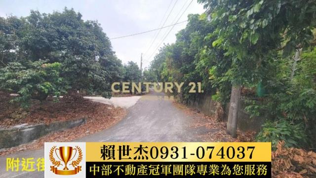 台中農地-12