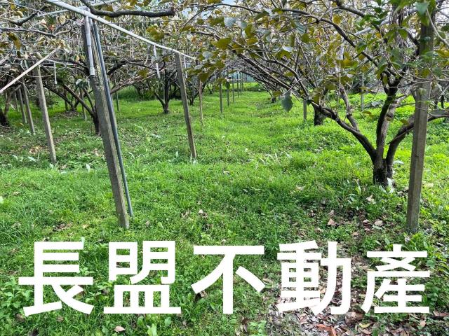 台中農地-1