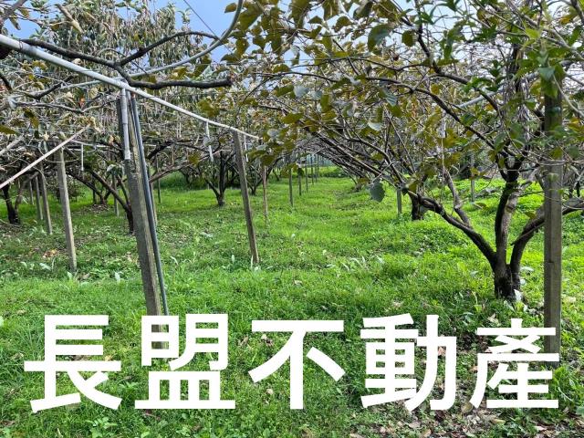 台中農地-4