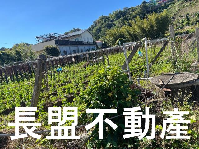 台中農地-2
