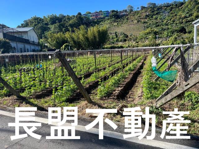 台中農地-3