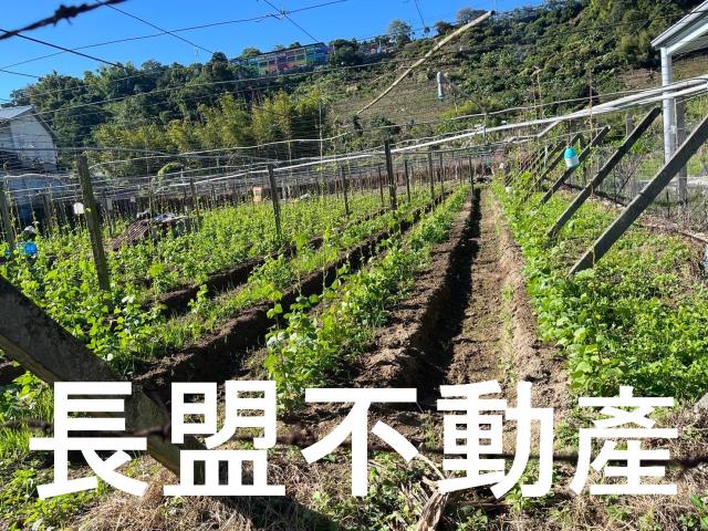 台中農地-4