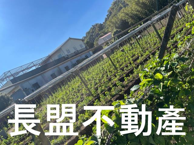 台中農地-5