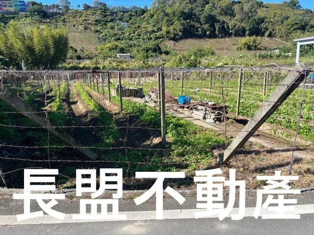台中農地-6