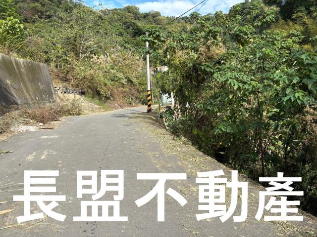 台中山坡地-10