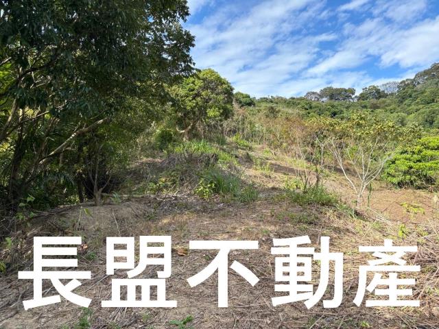 台中山坡地-1
