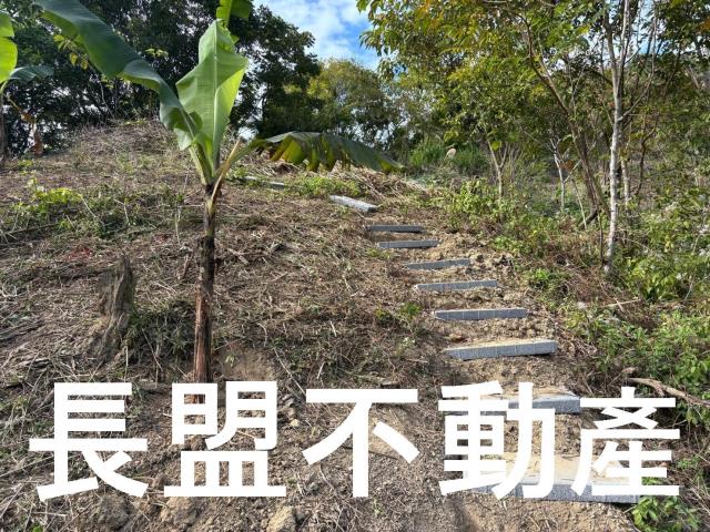 台中山坡地-2
