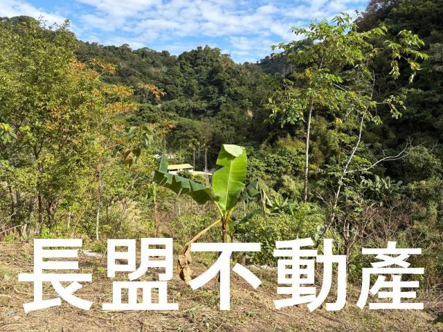 台中山坡地-3