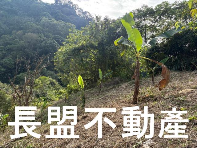 台中山坡地-4