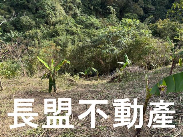 台中山坡地-5