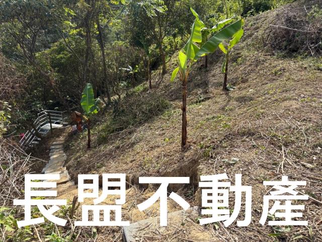 台中山坡地-6
